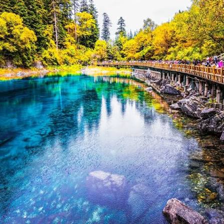 FIVE COLOUR POOL 