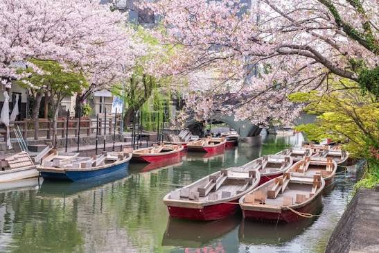 YANAGWA RIVER CRUISE 
