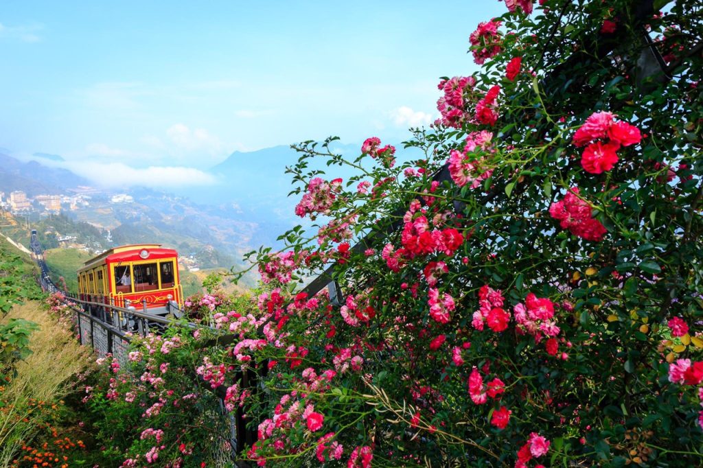 ROSE VALLEY 